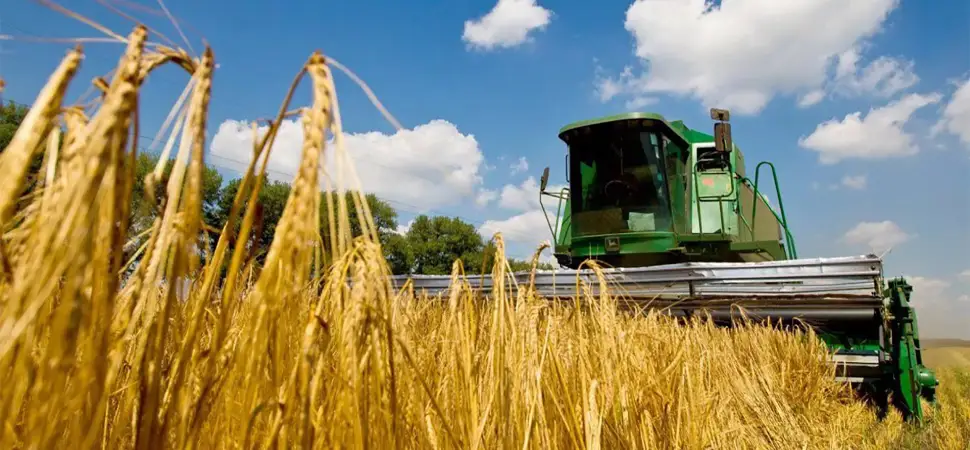 Ukrainian agriculture