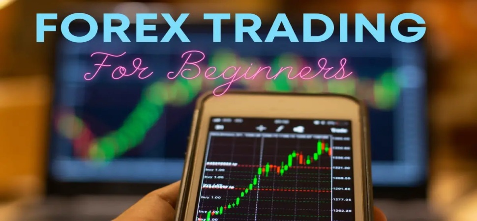 Forex Trading Tools: Wo fange ich an