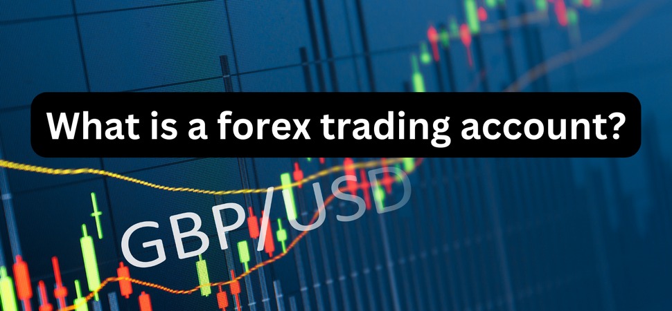 Types of Forex trading accounts, which ones to choose?